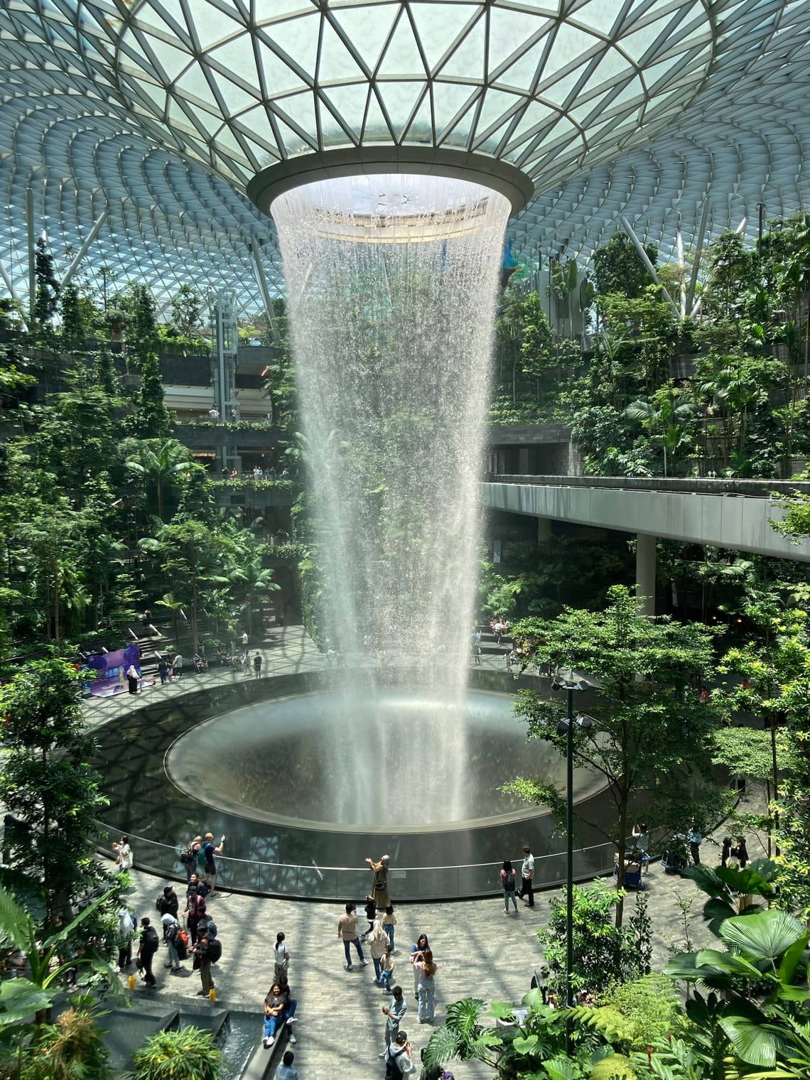A column of water (surrounded by lush vegetation) drops from a circular opening in a glass roof.  