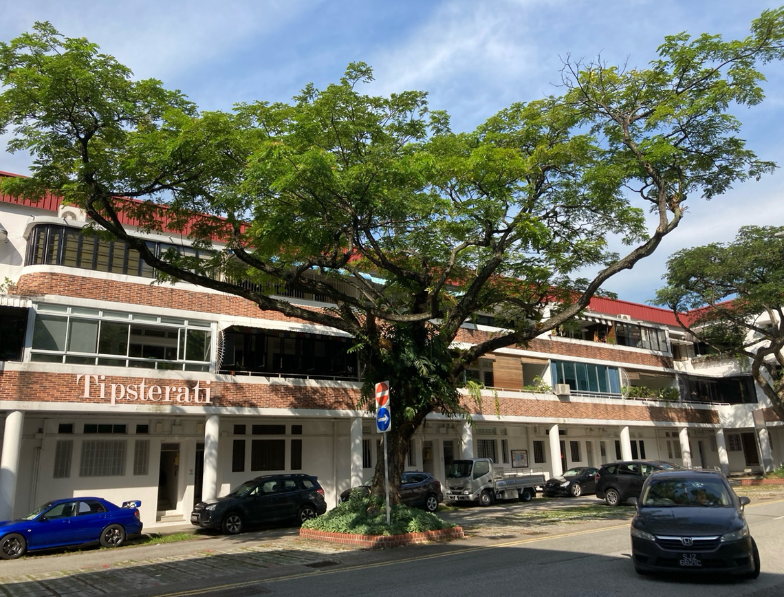 A rain tree with a slightly upturned, spreading crown stands before a 3-storey building. Cars are parked beneath its shade.