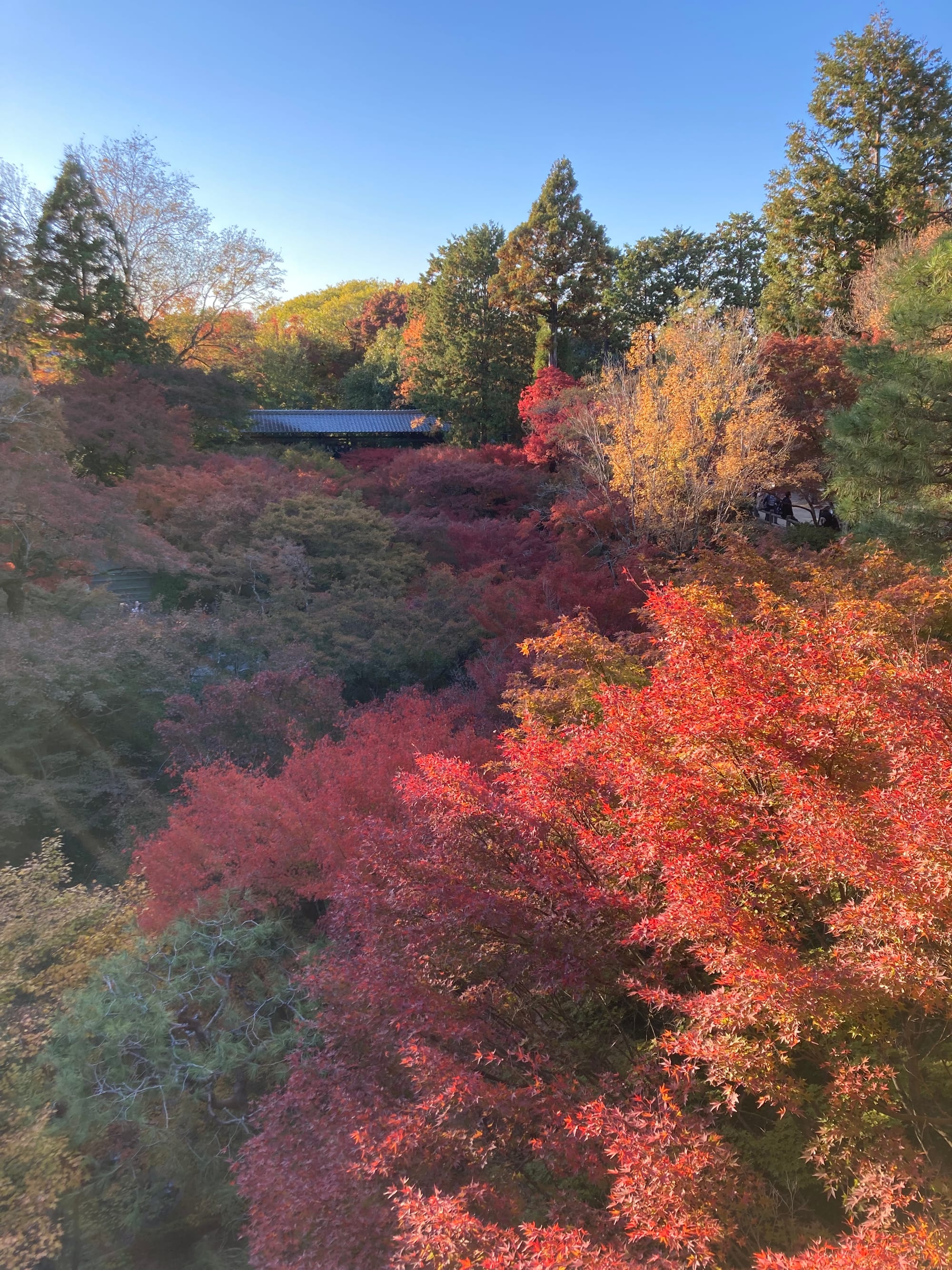 Tofuku-ji