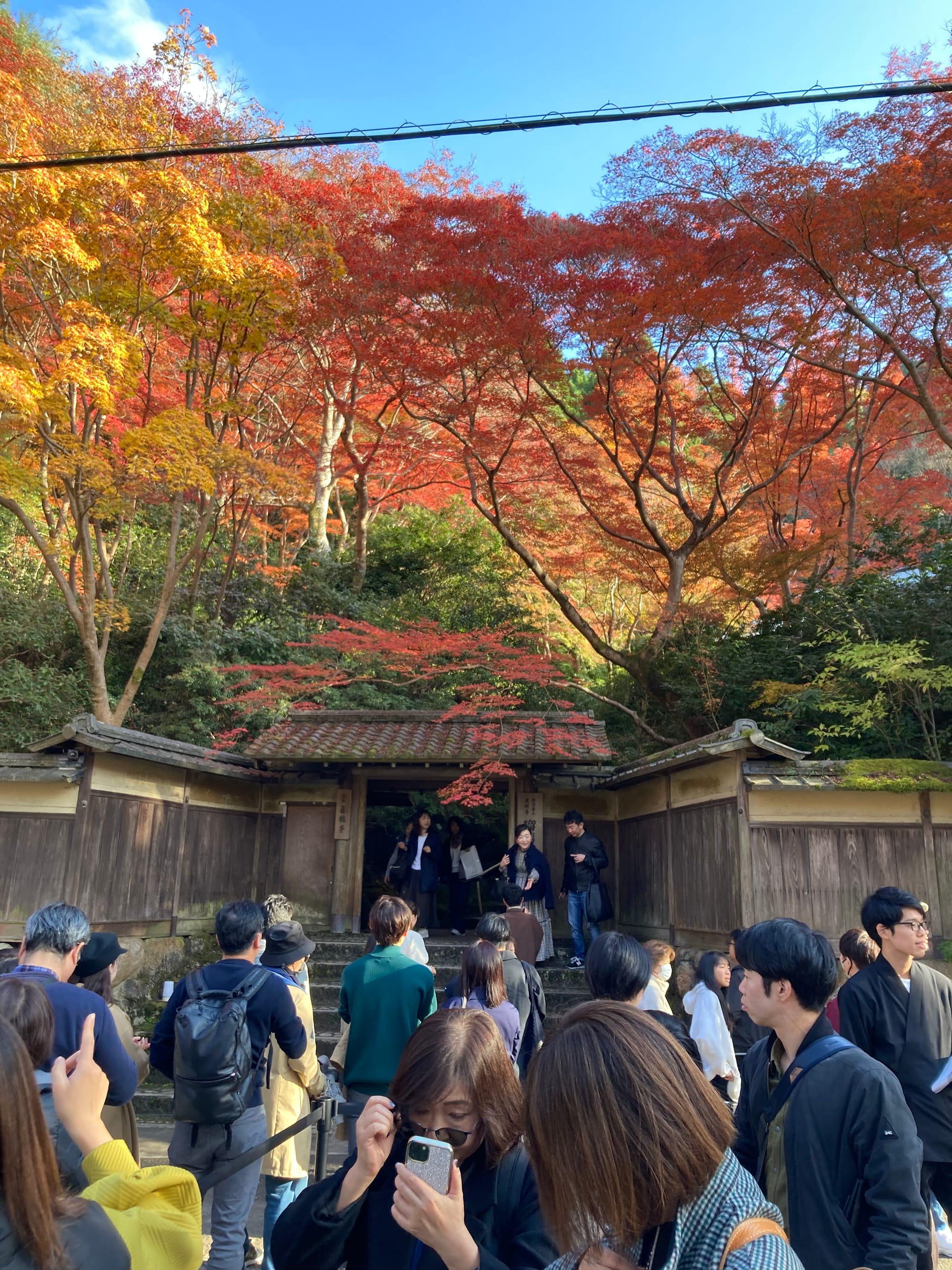 When in Kyoto for the fall...