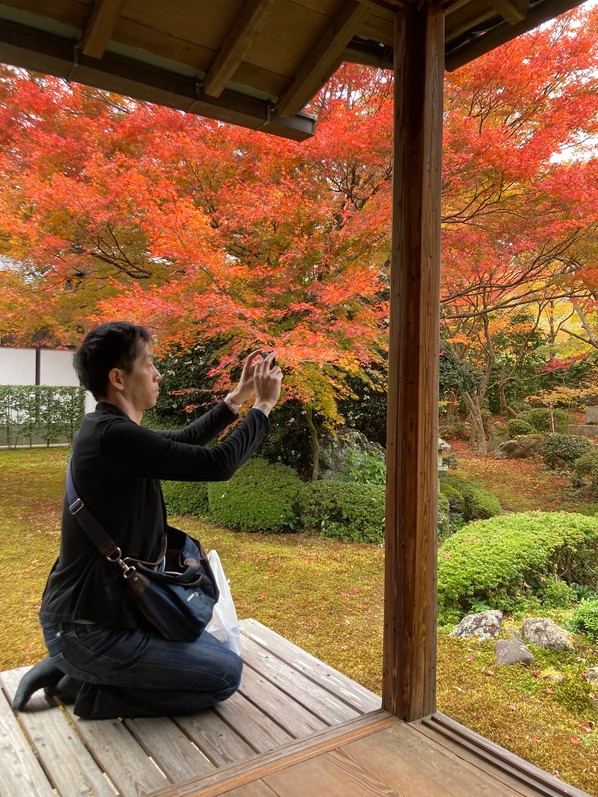 When in Kyoto for the fall...