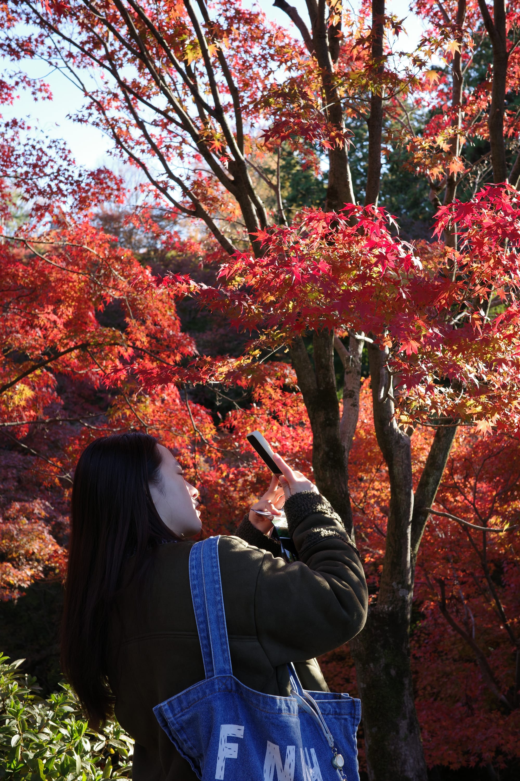 When in Kyoto for the fall...