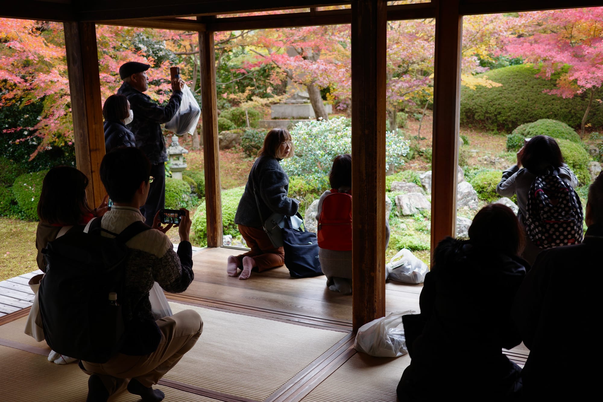 When in Kyoto for the fall...