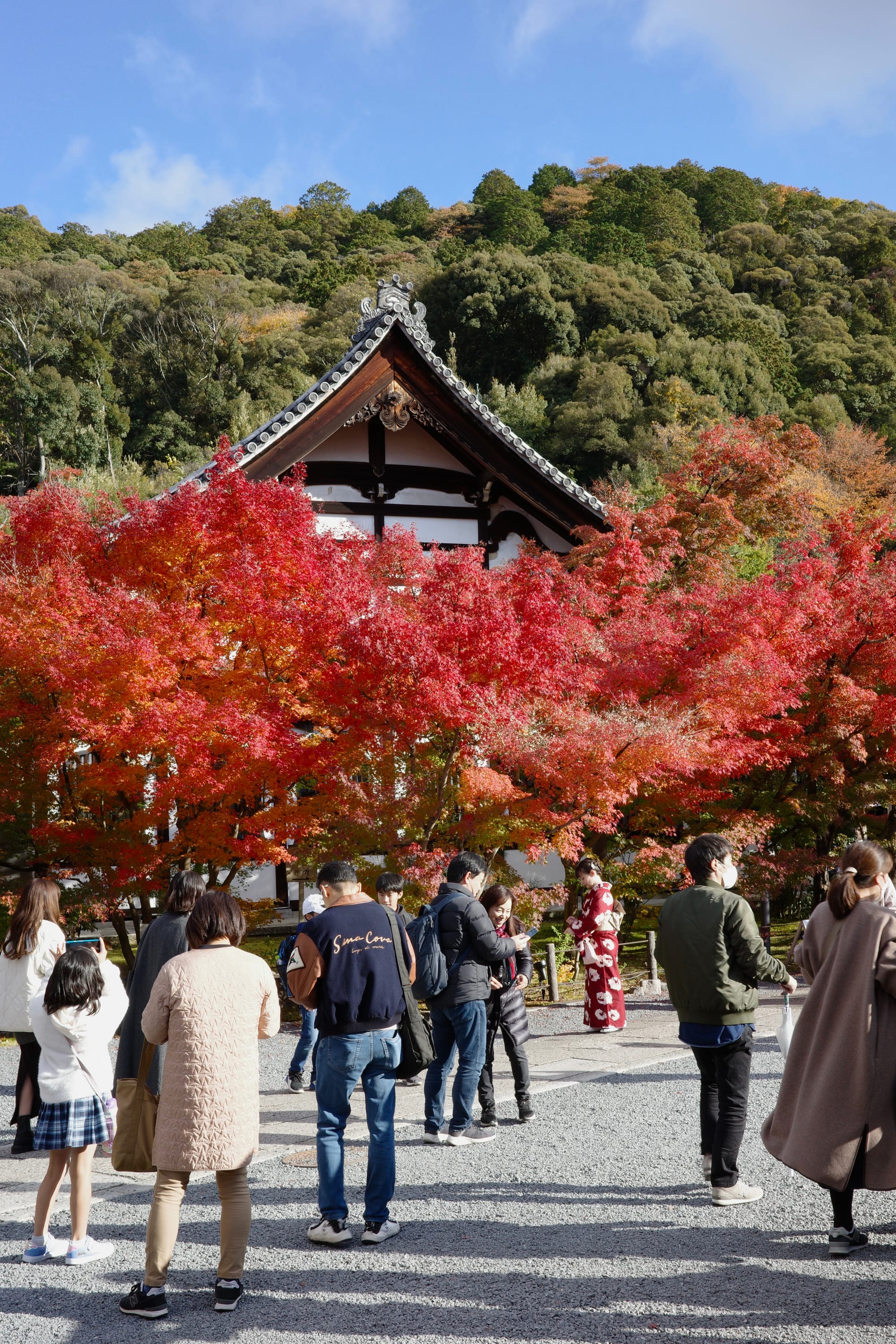 When in Kyoto for the fall...