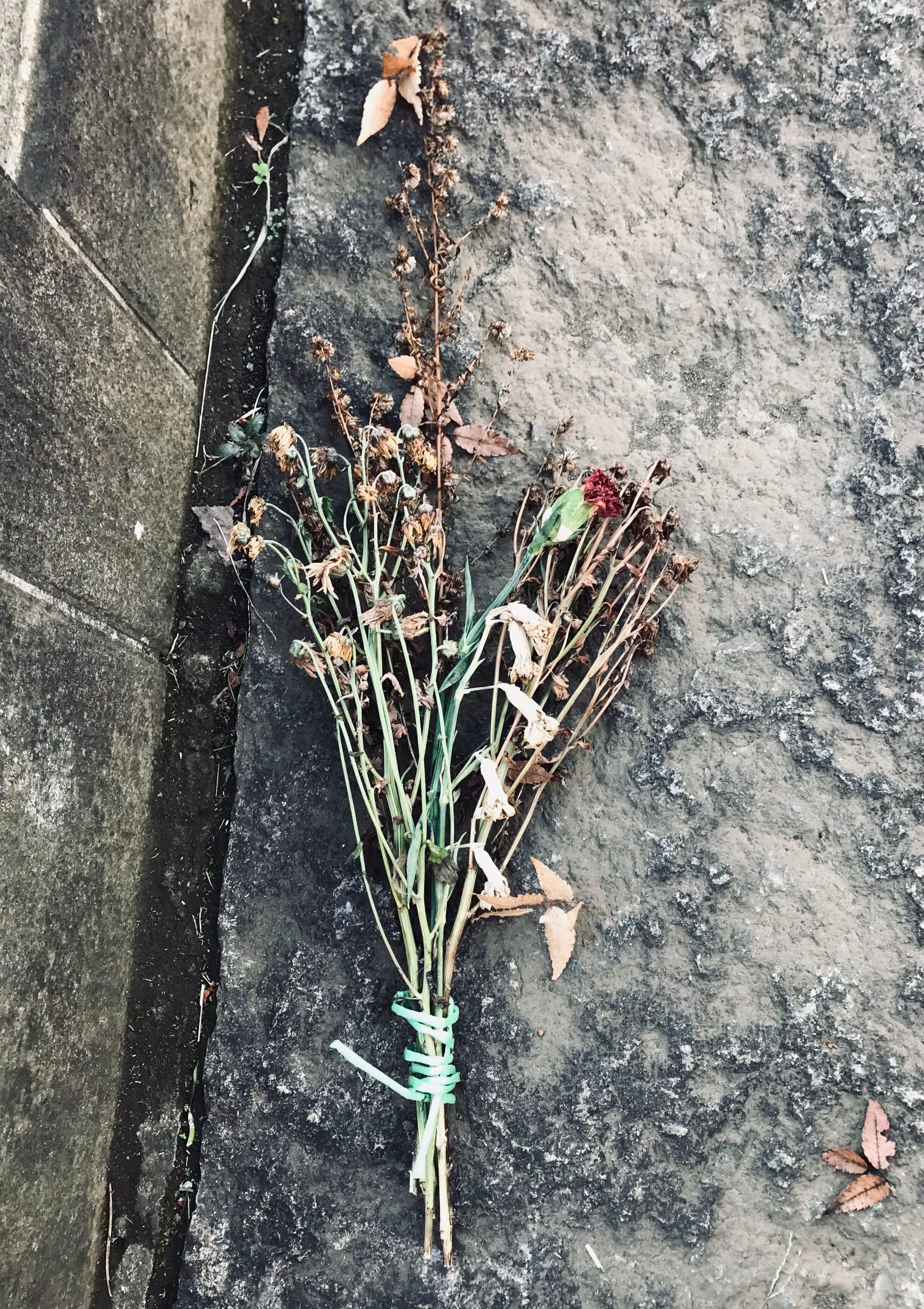 A bouquet of long-stem flowers partly drying out, partly already dried out and brown at a gravesite.