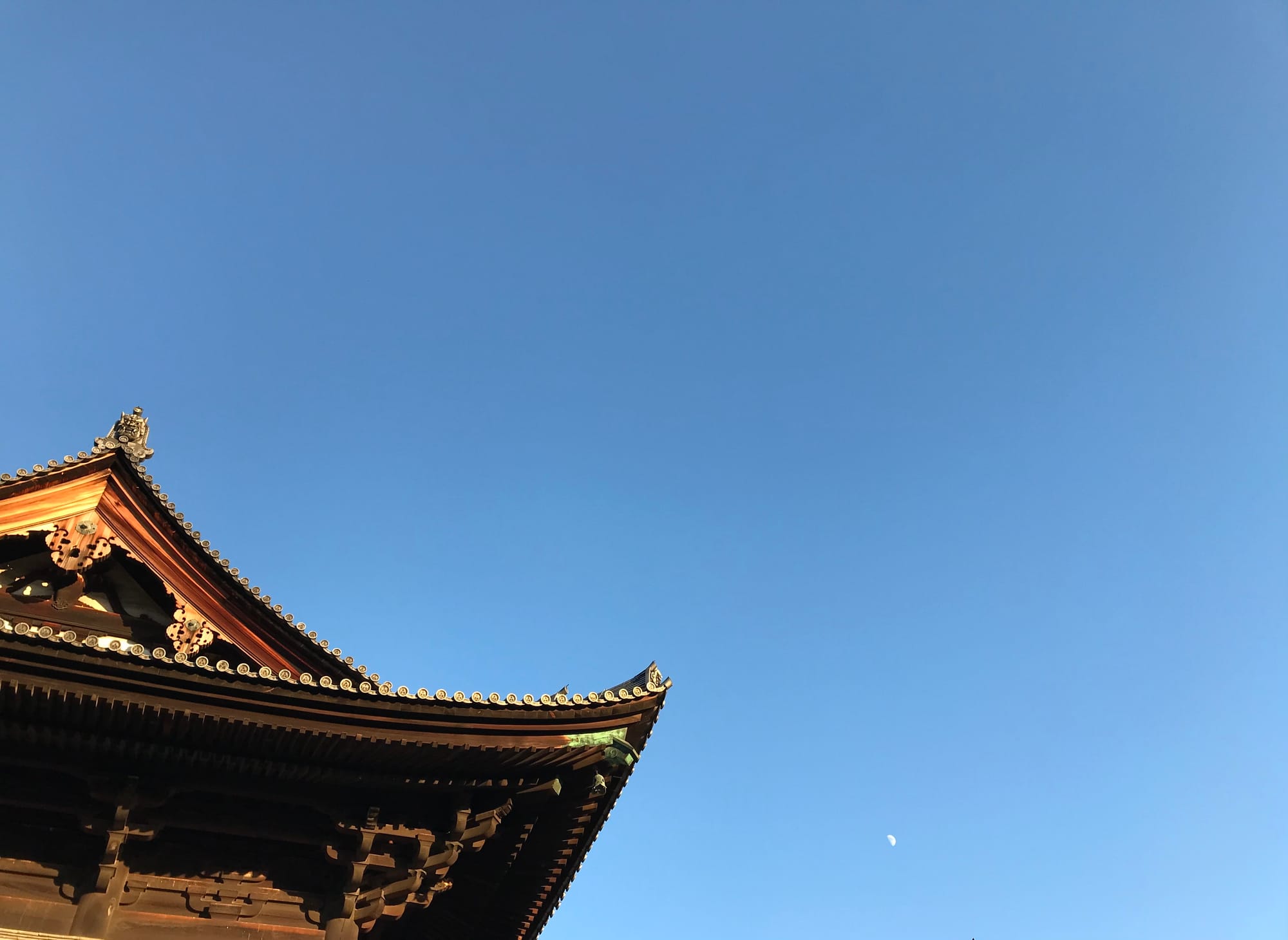 On the left, a frontal view of the roof of Tofuku-ji temple. To the right, the moon emerging in the blue late-afternoon sky. 