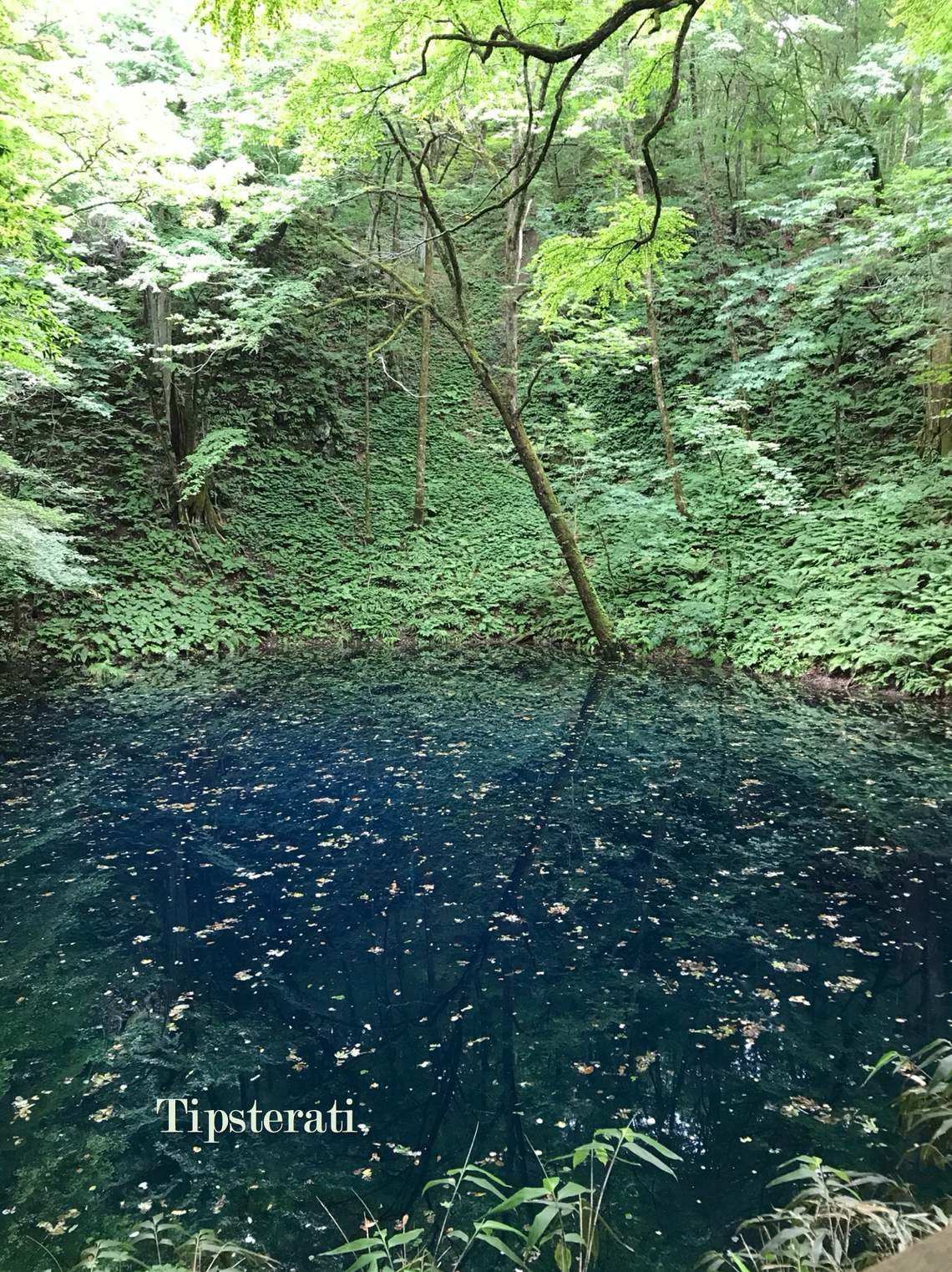 Hirosaki & Shirakami San-chi,  Aomori