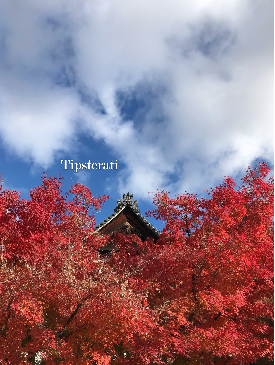 The pointed tip of a Japanese roof peeks out behind red autumn foliage, with a blue sky dotted with clouds above. 