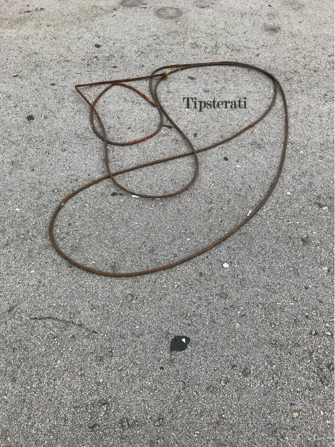 A thick piece of rusted wire forms a curvy, abstract shape on the ground